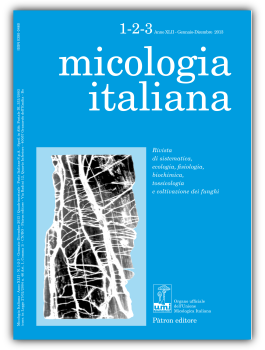 Fascicolo Immagine